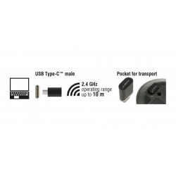 DELOCK Wireless mini Mouse, Οπτικό, USB Type-C receiver, 3-button, μαύρο