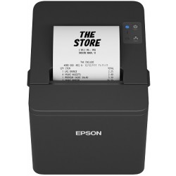 EPSON POS Printer TM-T20IV(102)
