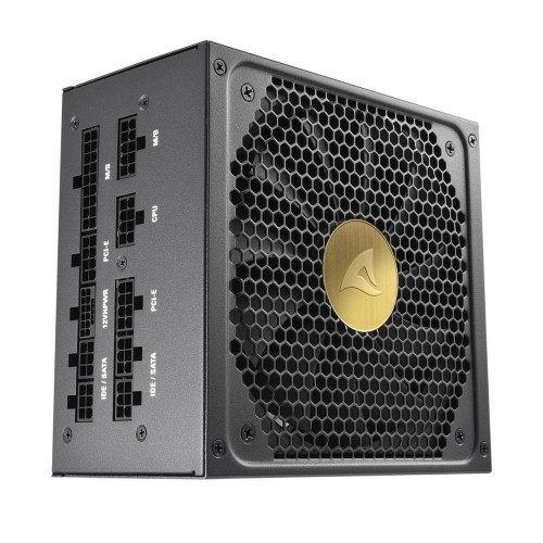 Sharkoon Rebel P30 1000W Μαύρο Τροφοδοτικό Υπολογιστή Full Modular 80 Plus Gold (REBELP30G1000BK) (SHR